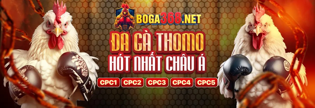 Đá Gà Trực Tuyến Hấp Dẫn 555win 22